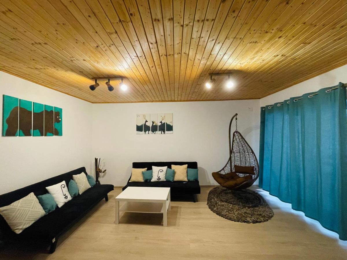 Londof Housing City Center Brasov Apartment Ngoại thất bức ảnh